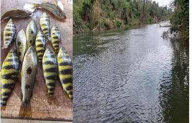 Imagem 3: Chácara Próximo ao Rio Alagado, 07km de Estrada de chão