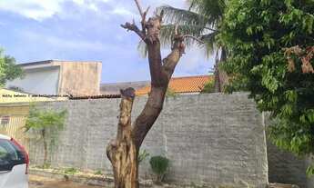 Imagem 4: Casa para Locação em Presidente Prudente, Residencial Florenza, 3 dormitórios, 1 suíte, 2