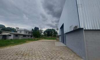 Imagem 2: Terreno todo murado, área 5.850m², com um galpão novo, um prédio administrativo, Tapana, B