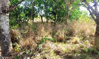 Imagem 2: Chácara à venda - 55 hectares (11 alqueires) - Palmas/TO