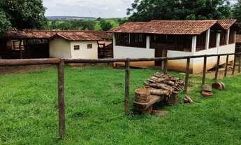 Imagem 3: Fazenda de 79 alqueires em Corumba-Go