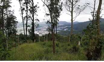 Imagem 3: Terreno para venda tem 47000 metros quadrados em Vila Progresso - Santo André - SP