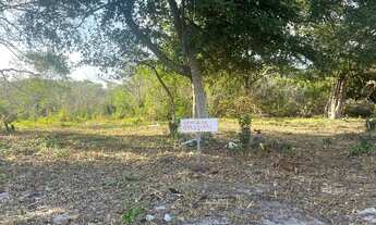 Imagem: Vende- se terreno em Massagueira