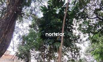 Imagem 4: Terreno à venda, 362 m² por R$ 550.000,00 - Vila Zat - São Paulo/SP