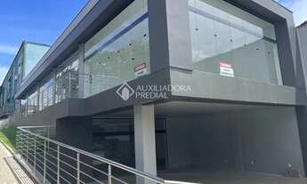 Imagem: Loja no centro de Dois Irmãos