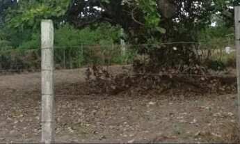 Imagem: Terreno para Venda localizado em São José