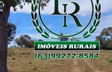 Imagem 7: Fazenda 152 alqueires, 740 hectares Dupla Aptidão Próximo a Palmas Tocantins