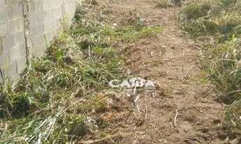 Imagem 5: Terreno à venda, 435 m² por R$ 750.000,00 - Jardim Nossa Senhora do Carmo - São Paulo/SP