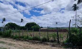 Imagem: Terreno de 725m² plano, cercado e escriturado