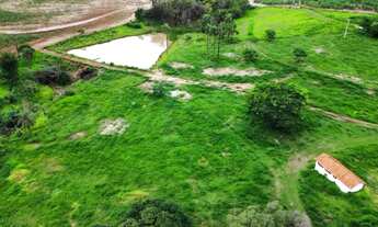 Imagem 4: Fazenda com 151,80 hectares à venda - Santa Rosa do Viterbo/SP