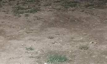 Imagem 2: Terreno 16x7 no vilar carioca