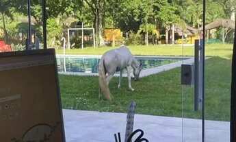 Imagem 7: SITIO EM GUARATIBA