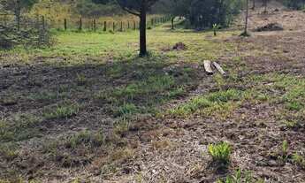 Imagem 3: Sitio Na faixa de taquara pd 104