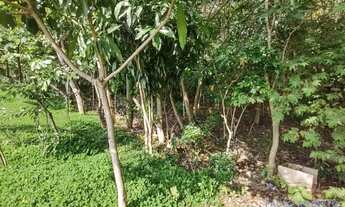 Imagem 4: TERRENO - RESIDENCIAL JARDIM PARANÁ - SP