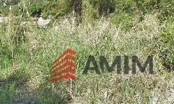 Imagem 2: Terreno à venda, 240 m² por R$ 320.000,00 - Itaipu - Niterói/RJ