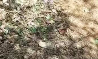 Imagem 6: TERRENO EM CD FECHADO EM COTIA..