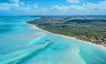 Imagem: Studio na beira mar de Maragogi condições