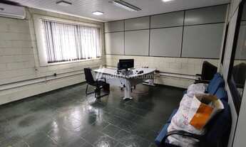 Imagem 4: GALPÃO industrial a venda Chácara AMARAIS Campinas