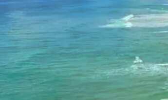 Imagem 6: Casa em Ingleses do Rio Vermelho