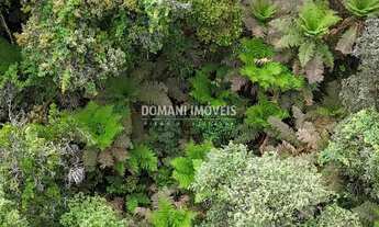 Imagem 4: Lote de Terreno à Venda na Região de Capivari - Campos do Jordão/SP