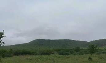 Imagem: Fazenda/Área rural e urbana em Itaberaba