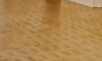 Imagem 5: Aluga se Salão Comercial área de 180 metros.Menos para fins industriais