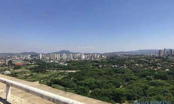 Imagem 5: APARTAMENTO - ALTO DE PINHEIROS - SP