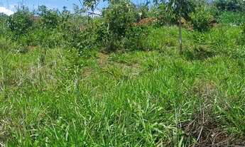 Imagem 2: Vende-se chácara de 2,500 metros quadrados