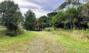 Imagem 2: Lote em Rua 16 - Colinas - São Francisco de Paula/RS