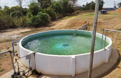 Imagem 2: FRIGORÍFICO BOVINO EM GOIÁS