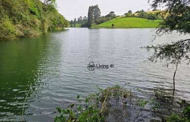 Imagem 6: Chácara no Passaúna com 3 dormitórios à venda, 40000 m² por R$ 4.950.000 - Ferraria - Camp