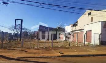 Imagem 6: Lote Comercial Av. Goiás Norte