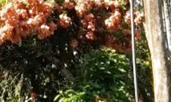 Imagem 4: Sítio em Bairro dos Mineiros - Bairro dos Mineiros - Angatuba/SP