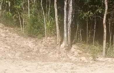 Imagem 2: Lote em condomínio em Alameda Lago da Cantareira - Rio Abaixo - Mairiporã/SP