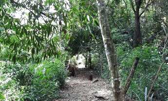 Imagem 6: Chácara em Bandeirantes /PR