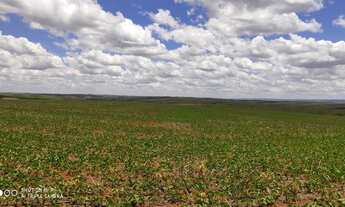 Imagem 2: 373 Alqueires em Divinópolis-Go