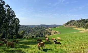 Imagem: Barbada Chácara sem benfeitorias. Cordilheira