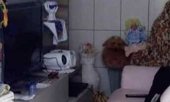 Imagem 5: FS)Av. Yervant Kissajikian. IMÓVEL A VENDA