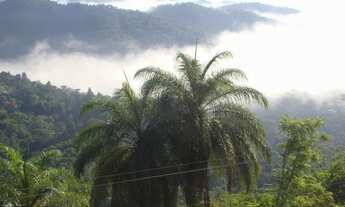 Imagem 3: Comercial/Industrial de 17 metros quadrados no bairro Bosque Residencial do Jambreiro