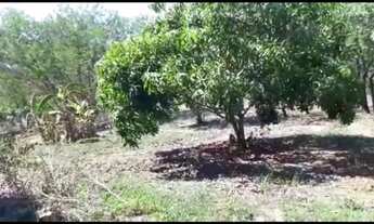 Imagem 3: Chácara a beira do rio