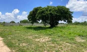 Imagem 4: Lote chácara em santo Estêvão