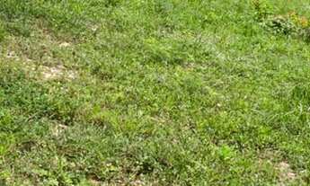 Imagem 6: Lote chácara em santo Estêvão