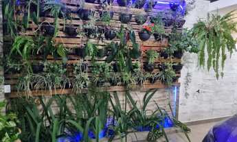 Imagem 7: SOBRADO REFORMADO QNA!!!