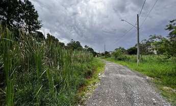 Imagem 4: Fazendinha - LOTE 1.420,00 m², plano e sem árvores grande porte!