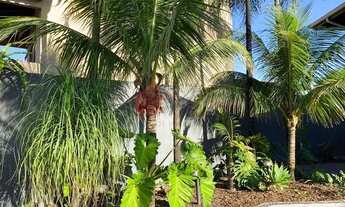 Imagem: Terra Branca