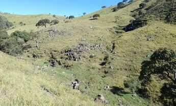 Imagem 5: Sítio de 18,5 Alqueires - São Luiz do Paraitinga - SP