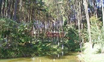 Imagem 3: Casa com 4 dormitórios para alugar, 499 m² por R$ 9.000,01/mês - Condomínio Arujazinho IV