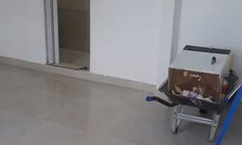 Imagem 3: Aluga- uma casa Casa com 2 dormitórios