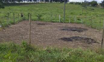 Imagem 2: Excelente Terreno. Pronto para construir!