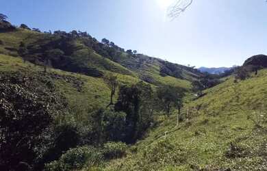 Imagem 6: Sítio de 18,5 Alqueires - São Luiz do Paraitinga - SP